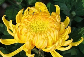 1539823074154182.png image.png