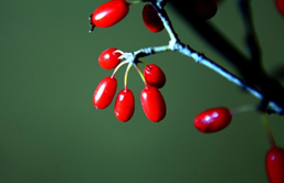 1539823123494779.png image.png
